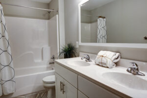 Remodeling the Bathroom in Your Anne Arundel County Home 